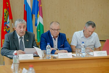 Сергей Грачев: «Муниципальная власть должна максимально полно использовать экономический потенциал территории»